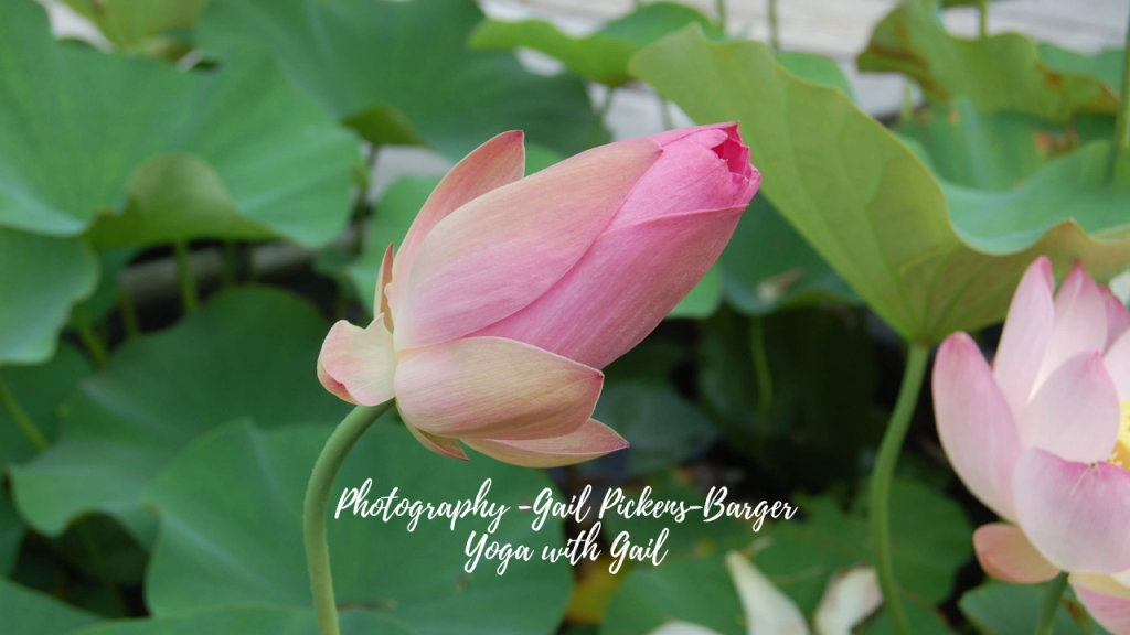 Meditation photography by Gail Pickens-Barger
